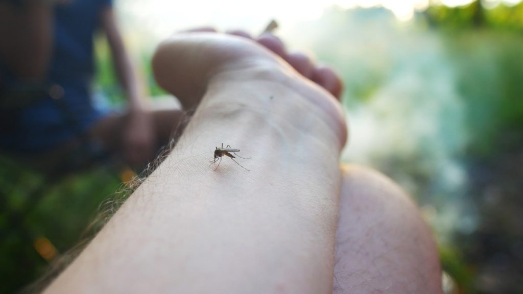 Sivrisinek Isırığı Kaşıntısı Kaç Gün Sürer?